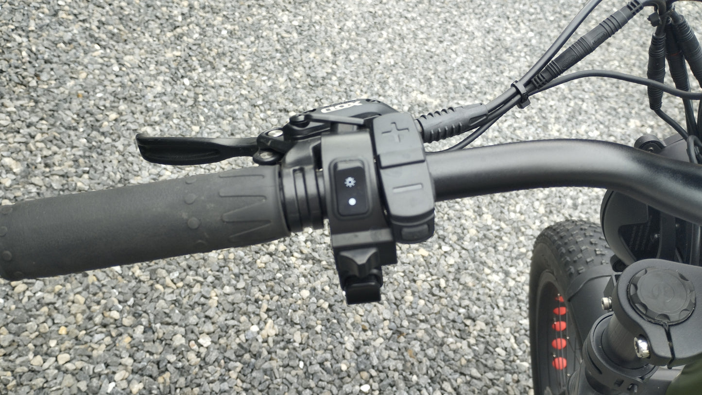 TAIQI XT600 Scrambler Motorbike Style E-bike - 500w (Green)