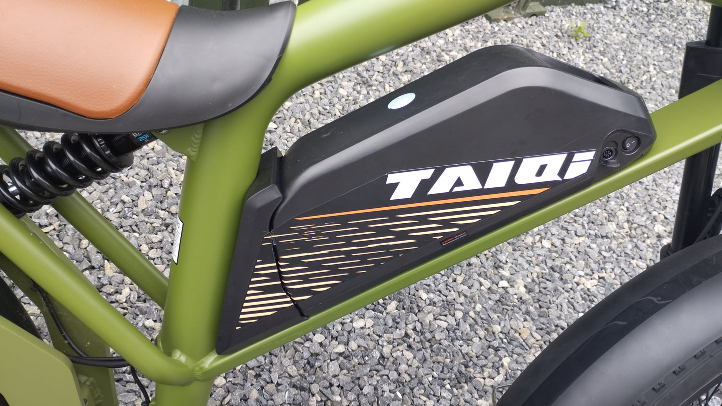 TAIQI XT600 Scrambler Motorbike Style E-bike - 500w (Green)