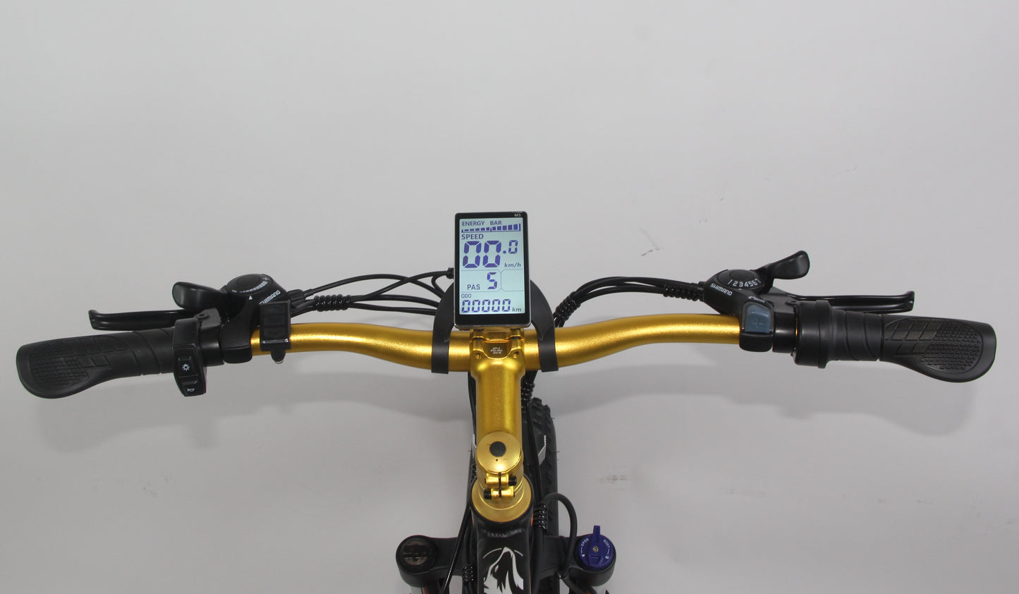 Wolf Predator fat tyre 1000w,Single Motor (Blue/Black) 20Ah Samsung battery.