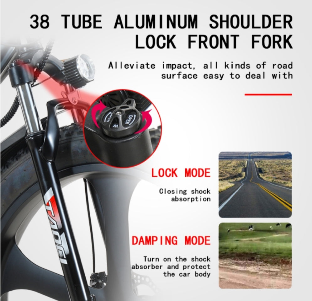 TAOCI Python Sport E-Mountain Bike- 1000w (Black/Red)