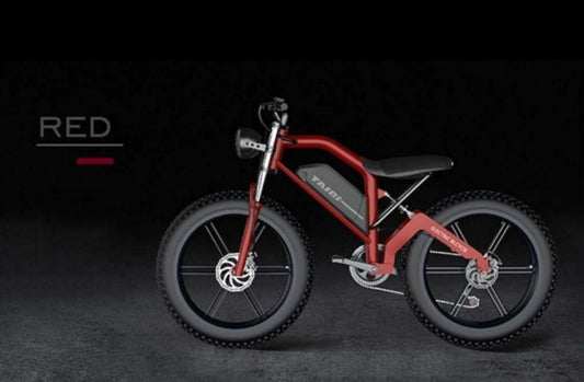 TAIQI XT600 Scrambler Motorbike Style E-bike - 500w (Red)