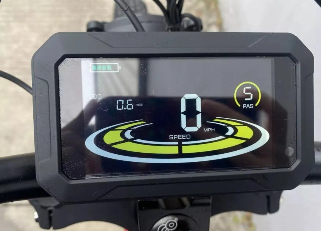 TAIQI XT600 Scrambler Motorbike Style E-bike - 500w (Green)