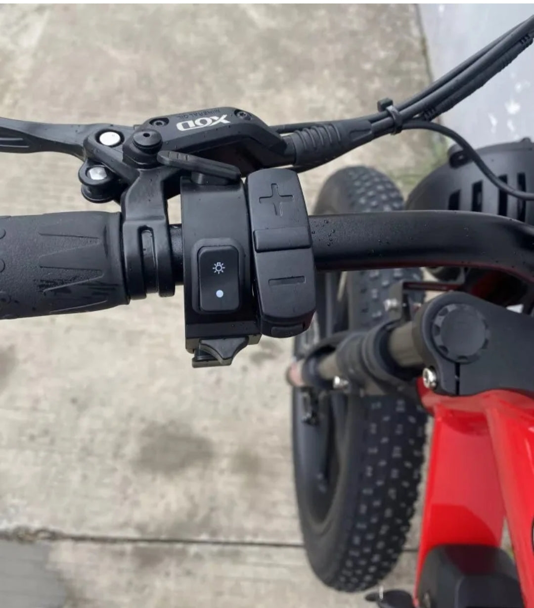 TAIQI XT600 Scrambler Motorbike Style E-bike - 500w (Red)