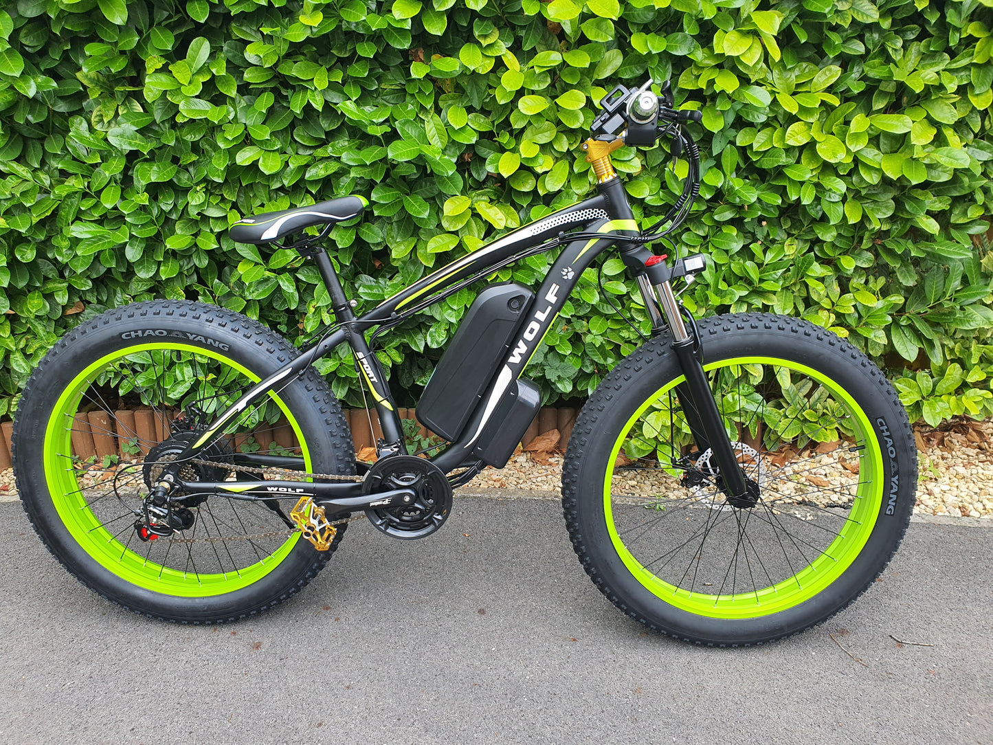 Wolf Sport Fat Tyre E-Mountain Bike - 1000w