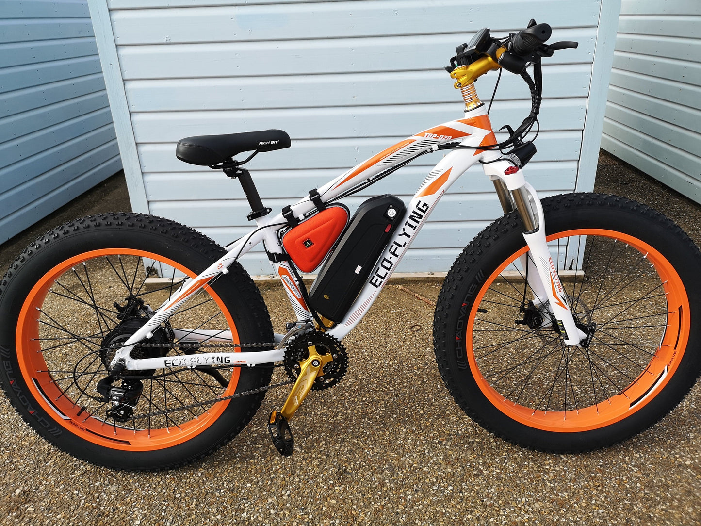 Eco-Flying TOP-20 Fat Tyre electric mountain bike 1000w 17Ah.