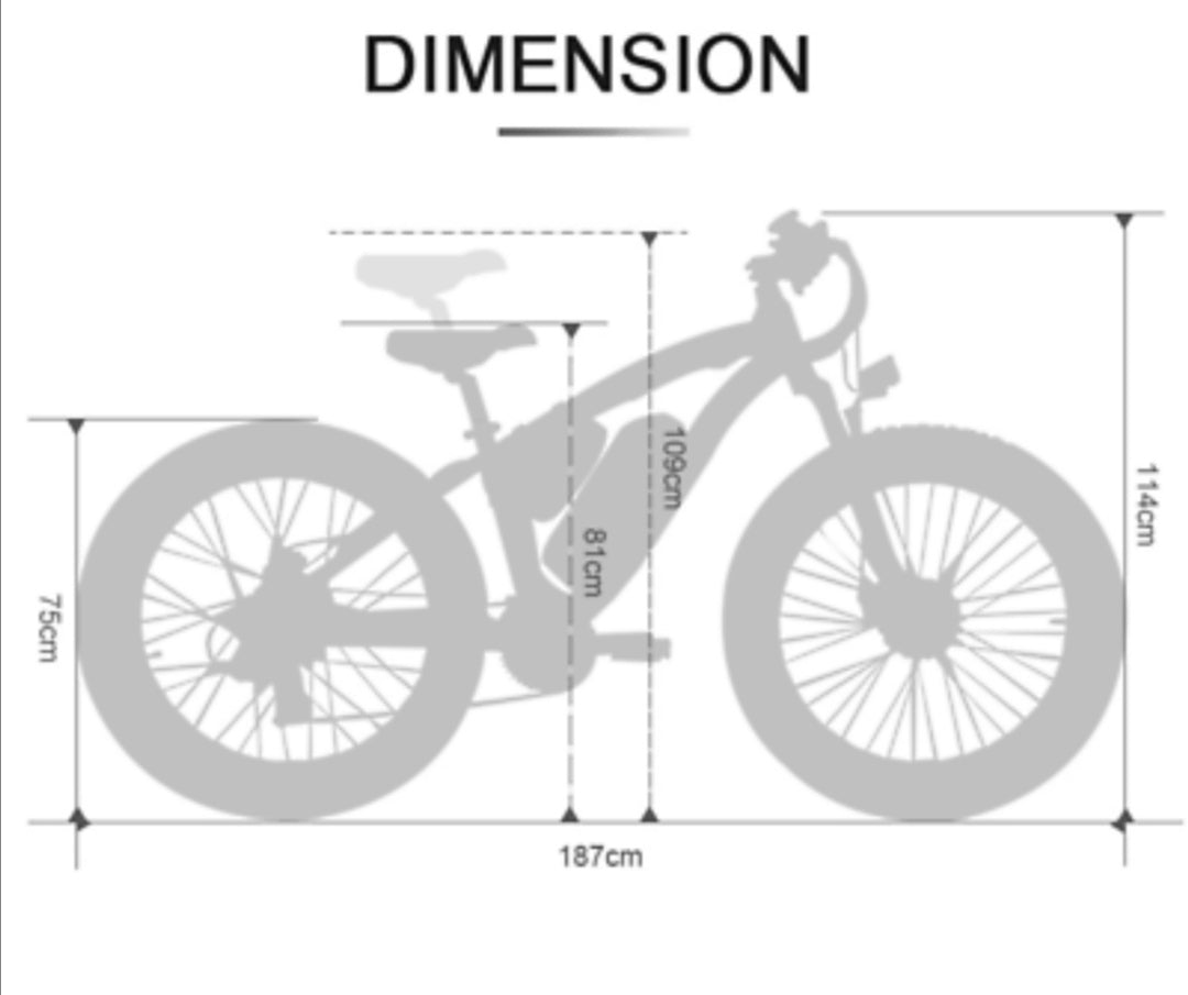 Eco-Flying TOP-20 Fat Tyre electric mountain bike 1000w 17Ah.