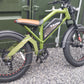 TAIQI XT600 Scrambler Motorbike Style E-bike - 500w (Green)