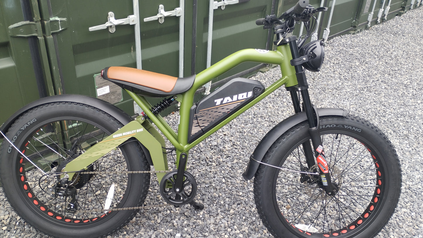 TAIQI XT600 Scrambler Motorbike Style E-bike - 500w (Green)