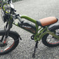 TAIQI XT600 Scrambler Motorbike Style E-bike - 500w (Green)
