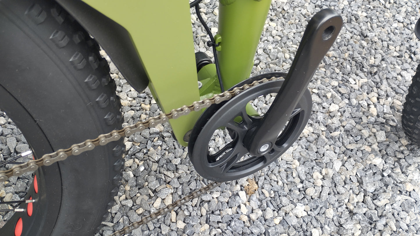 TAIQI XT600 Scrambler Motorbike Style E-bike - 500w (Green)