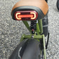 TAIQI XT600 Scrambler Motorbike Style E-bike - 500w (Green)