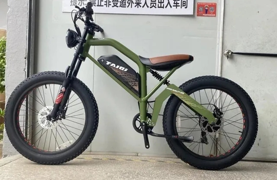 TAIQI XT600 Scrambler Motorbike Style E-bike - 500w (Green)