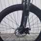 Lankeleisi Leopard electric bike