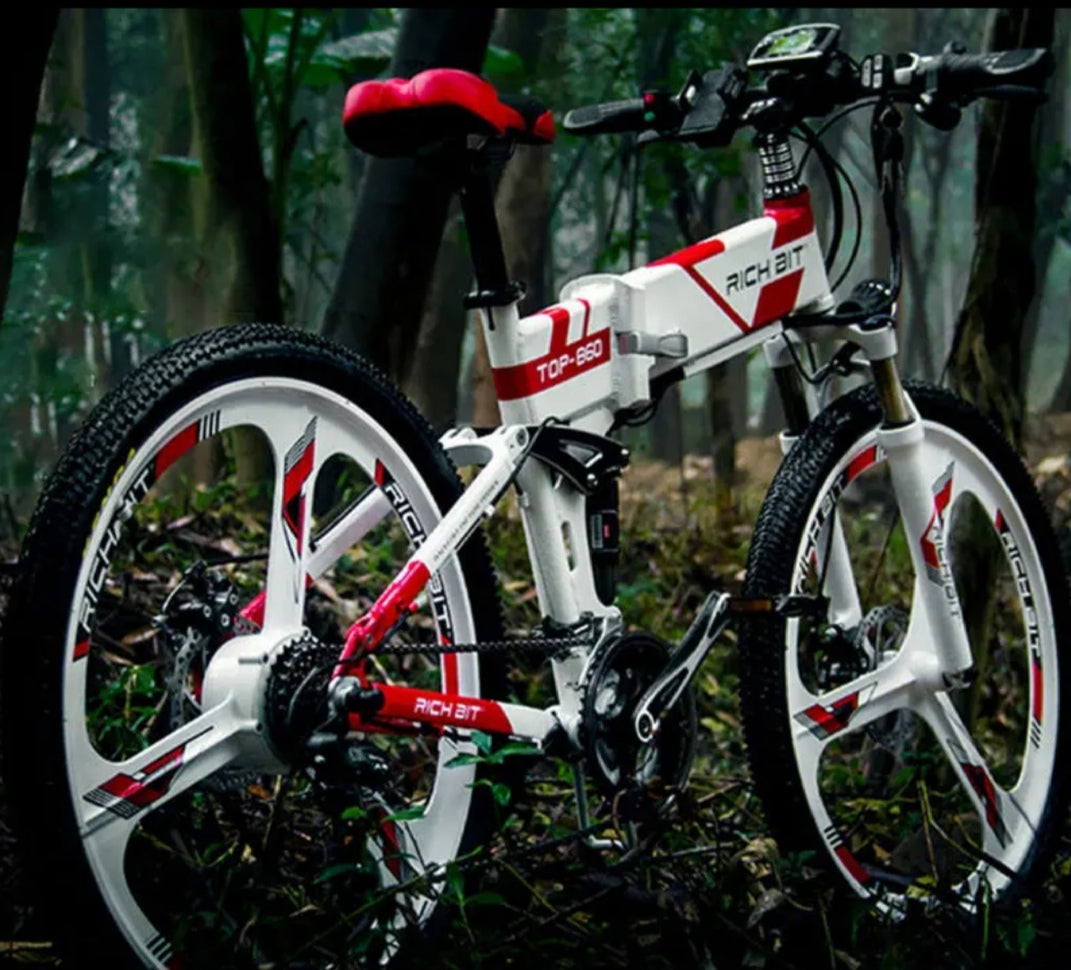 SOLD OUT Rich Bit Top-860 Folding E-Mountain Bike - 250w
