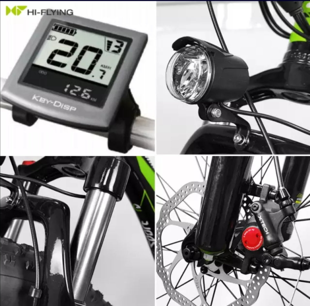 Eco-Flying TOP-20 Fat Tyre electric mountain bike 1000w 17Ah.